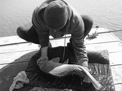 Fa-i poza daca poti...